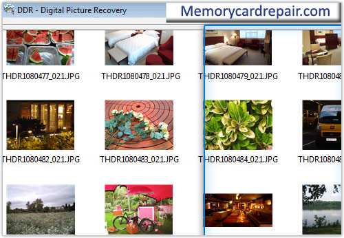 Digital Picture Repair Software